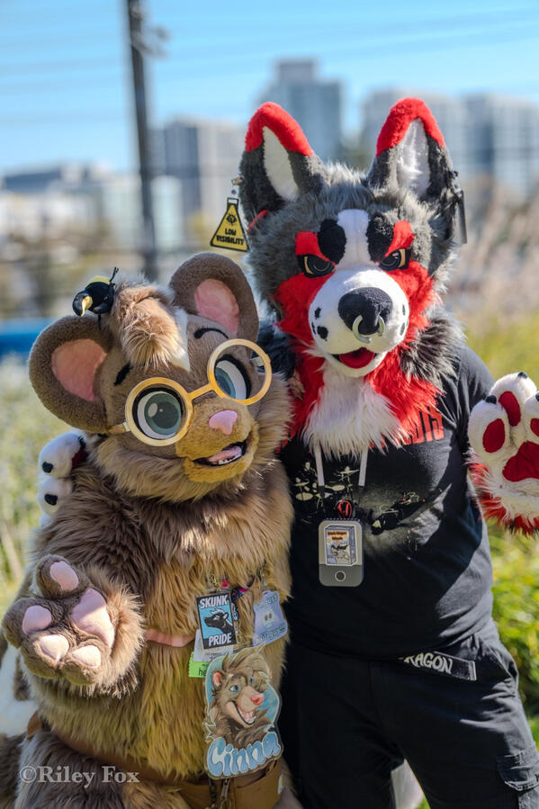 Photo by Hyper Fox Photo by Hyper Fox