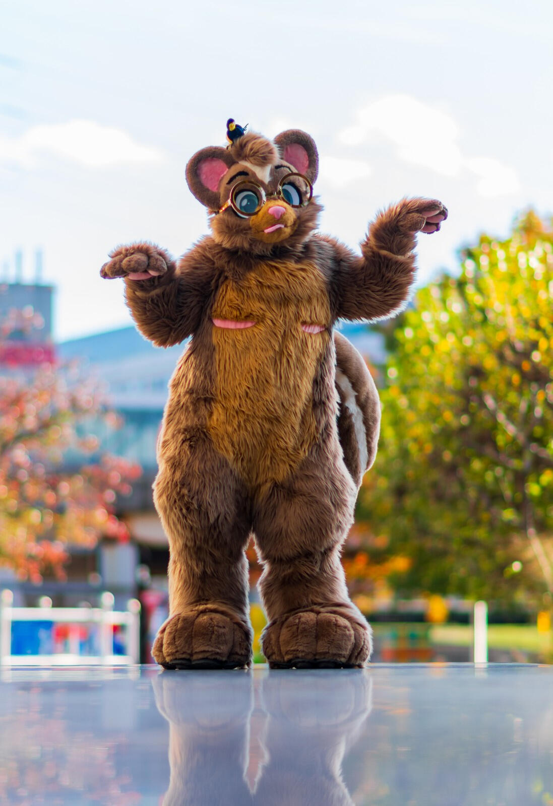 Photo taken by Scramble Fox